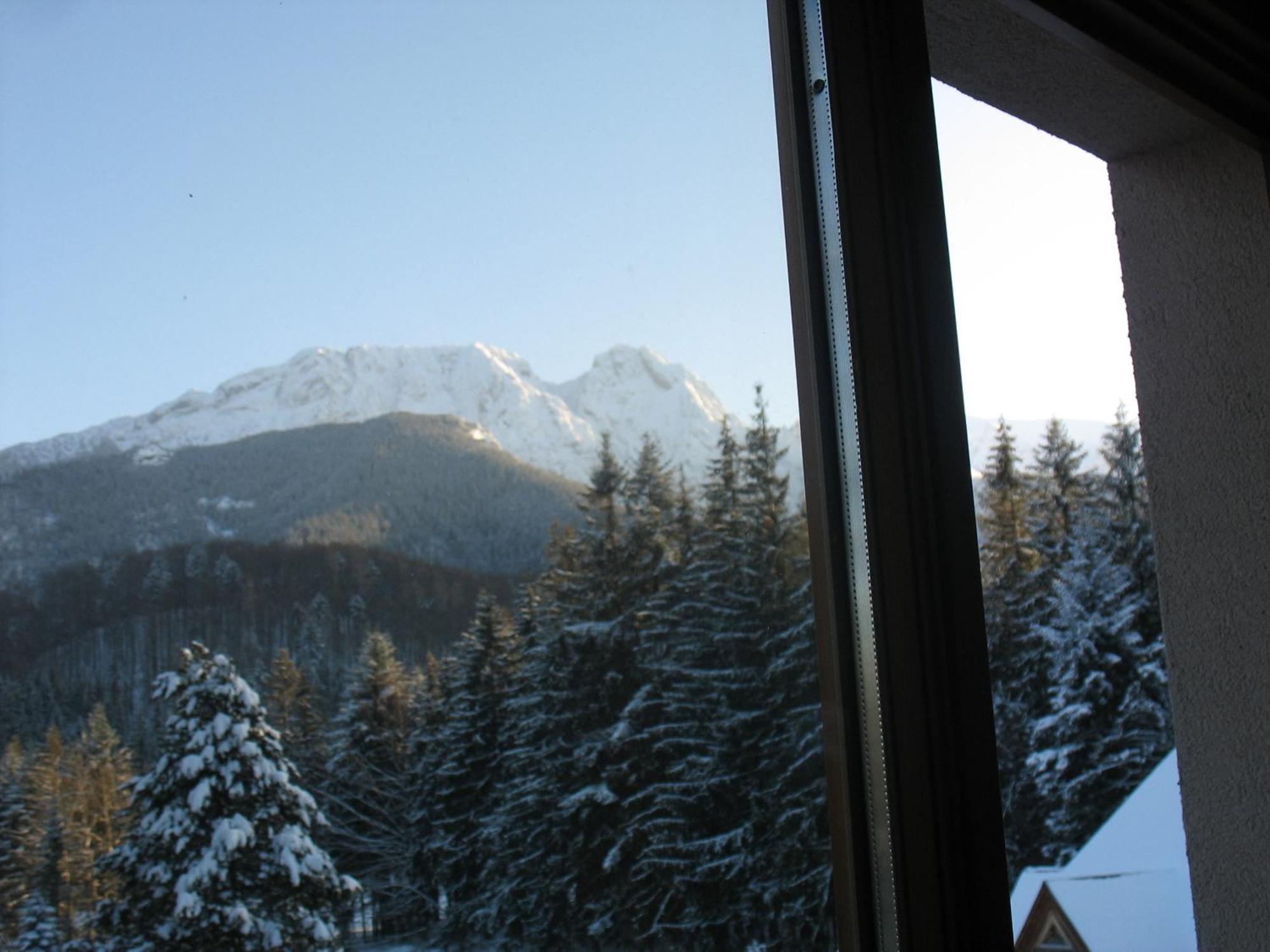 Willa Otulina pod Giewontem Zakopane Esterno foto
