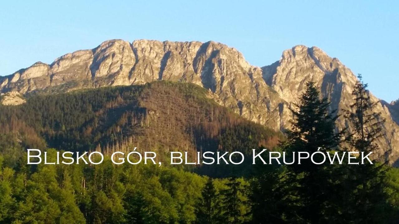 Willa Otulina pod Giewontem Zakopane Esterno foto